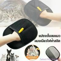 ราคา Select Pet Supplies Aimayapet ถุงมือแปรงขนสัตว์เลี้ยง ถุงมือแปรงขนแมว สุนัข แปรงเก็บขนแมว ผมเหนียวไฟฟ้าสถิต (1732344993743865094)