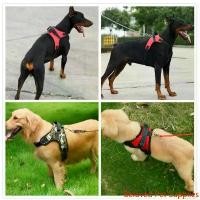 ราคา Beloved Pet Supplies เสื้อรัดอกสุนัขใหญ่ พันธุ์กลาง-ใหญ่ สายจูงสุนัข หลายสี หลายไซส์ สายจูงหมา (พร้อมส่งค่ะ) CW02 (1732353153615824738)