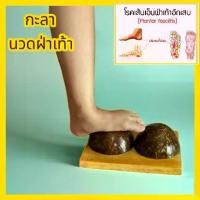 ราคา นวดฝ่าเท้า กะลา ยืนนวดกดจุดฝ่าเท้า Massage ยืนคลายกล้ามเนื้อ (1729963245661293133)