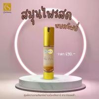 ราคา เซรั่มหยดทิพย์ สมุนไพรสดสูตรหยดทิพย์ (Herbal Toner) (1729993646817708450)