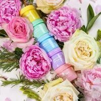 ราคา พิมเสนน้ำPastel 5 สี ( D nine herbal ) (1732289932029495857)