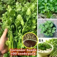 ราคา เมล็ดผักชี สายสมร Coriander Seeds งอกง่าย 100เมล็ด/ซอง เมล็ดพันธุ์ผักชี เมล็ดพันธุ์ ผักชี Flat Leaf Parsley Seeds for Planting Chinese Parsley Vegetable Seeds Bonsai Vegetables P (1732054230543076109)