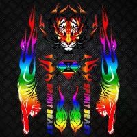 ราคา สติ๊กเกอร์ PVC กันรอยถัง รถจักรยานยนต์ เหมาะสำหรับ Spirit Beast สำหรับ Honda, Yamaha, Suzuki (1732023098170509297)