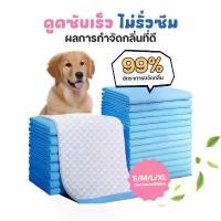 ราคา Pet Record แผ่นรองฉี่สุนัข แผ่นรองฉี่ต่อต้านแบคทีเรียซึมซับไดีดีผ้ารองฉี่ถาดรองฉี่สุนัขแผ่นรองฉี่แมว (1732326865036477612)