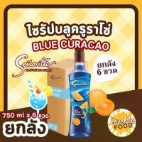 ราคา ยกลัง ซินญอริต้า ไซรัป บลูคูราโซ่ Senorita Syrup Blue Curacao พรีเมี่ยมไซรัป (1730798912960302079)