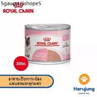 ราคา Royal Canin อาหารแม่แมว และลูกแมว ชนิดเปียก (MOTHER & BABYCAT MOUSSE) (1731773636219668321)