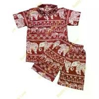 ราคา ชุดเด็กคอปกโปโล ชาย-หญิง เสื้อช้างไทยแลนด์ เนื้อผ้าไมโคร Tshirt Souvenir Thailand foreign Gift ของฝากต่างชาติ ไทยแลนด์ ขายดี (1731698694947767625)