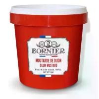 ราคา ดิจอง / ดีจอง มัสตาร์ด ขนาด 1 กิโลกรัม Bornier Dijon Mustard 1 kg (1732478490428540291)