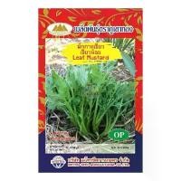 ราคา ผักกาดเขียว เขียวน้อย MT/OP-005 Leaf Mustard ตราภูเขาทอง เมล็ดพันธุ์ผักกาด เมล็ดพันธุ์ผัก เมล็ดพันธุ์ผักสวนครัว เมล็ดผักกาดเขียวน้อย (1729737010890968059)