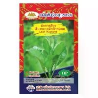 ราคา ผักกาดเขียวเชียงกลาง ผักเจ้าหม่อม MT/OP-006 Leaf Mustard ตราภูเขาทอง เมล็ดผักกาดเขียว เมล็ดผักสวนครัว เมล็ดพันธุ์ผัก (1729737012449348603)