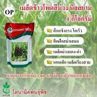 ราคา ☆เมล็ดพันธุ์ข้าวโพดข้าวเหนียวสีม่วง นิลสยาม ตราใบไม้ 1 กก. 1 ซอง จาก ไดนามิคพันธุ์พืช purple corn seeds เมล็ดข้าวโพด♫ (1732425214388635522)