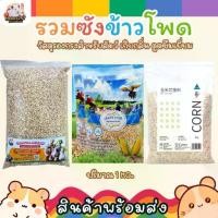 ราคา [HiHamster] Corn cob, cage liner, cage mat, bedding material for pets, birds, rats, hedgehogs, snakes, size 1 Kg. (1732111331427387352)