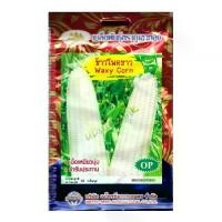 ราคา เมล็ดข้าวโพดขาว Waxy Corn MT/OP-062 ตราภูเขาทอง เมล็ดพันธุ์ผัก เมล็ดพันธุ์ข้าวโพดขาว เมล็ดข้าวโพด เมล็ดพันธุ์ข้าวโพด (1729736294992088059)