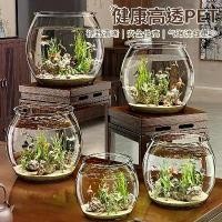 ราคา ตู้ปลาทอง ความจุมาก สวยงาม ครัวเรือนขนาดเล็ก เส้นผ่านศูนย์กลางขนาดใหญ่ ตู้ปลาทรงกลม ตู้ปลาขนาดใหญ่ เหมาะสำหรับเดสก์ท็อป กันกระแทก เหมาะสำหรับปลาบอตต้า ปกติ table aquarium (1731422717511436120)