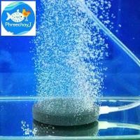 ราคา หัวทรายอ๊อกปลา หัวทราย หัวทรายออกซิเจน หัวทรายจาน หัวทรายตู้ปลา ขนาด 6 cm ฟองละเอียด กระจายลมได้ดี เลี้ยง ปลา สวยงาม ปลา ปั๊ม โซล่าเซลล์ บ่อปลา มิเตอร์ ตู้ปลา อุปกรณ์ ใน วน (1731632428894160028)