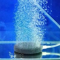 ราคา หัวทรายอ๊อกปลา หัวทราย หัวทรายออกซิเจน หัวทรายจาน หัวทรายตู้ปลา ขนาด 6 cm ฟองละเอียด กระจายลมได้ดี เลี้ยง ปลา สวยงาม ปลา ปั๊ม โซล่าเซลล์ บ่อปลา มิเตอร์ ตู้ปลา อุปกรณ์ ใน วน (1730762332873133027)