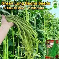 ราคา เมล็ดพันธุ์ ถั่วฝักยาว Green Long Beans Seed Organic Vegetable Seeds for Planting เมล็ดถั่วยาวสีเขียว ถั่วพุ่ม ผักออร์แกนิก เมล็ดพันธุ์ผัก บอนไซ พันธุ์ผัก เมล็ดผัก เมล็ดพันธุ์ OP (1732027077232331533)