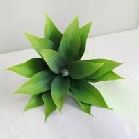 ราคา ตกแต่งแจกัน, DIY, พืช Agave ประดิษฐ์เขตร้อน, พลาสติกเหมือนจริง, ใบ Agave ขนาดใหญ่, พืชสีเขียวปลอมหรูหรา, ตกแต่งห้องนั่งเล่น (1731697637904189426)