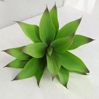 ราคา ตกแต่งแจกัน, DIY, พืช Agave ประดิษฐ์เขตร้อน, พลาสติกเหมือนจริง, ใบ Agave ขนาดใหญ่, พืชสีเขียวปลอมหรูหรา, ตกแต่งห้องนั่งเล่น (1732390034063066820)