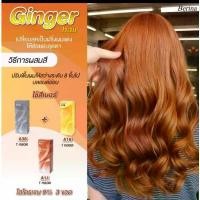 ราคา ครีมเปลี่ยนสีผม Berina เซ็ทสีผสม A38+A13+A16 สี Ginger สีส้มสดประกายทอง เอาใจสาวมั่น 1เซ็ท=3กล่องจุกๆๆ (1732648913298883909)