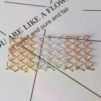 ราคา Flower bud head hair artifact metal round head spring clip ball head invisible spiral clip (1732618118499829112)