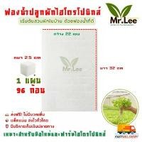 ราคา (แพ็ค 50 แผ่น) ฟองน้ำปลูกผักไฮโดรโปนิกส์ Hydroponic Sponge สำหรับเพาะเมล็ดผักสลัด (แพ็ค 50 แผ่น) (1732561429808842726)