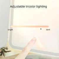 ราคา กระจกโต๊ะเครื่องแป้ง LED ลายการ์ตูน, การควบคุมแบบสัมผัสอัจฉริยะ, กระจกแต่งหน้าแบบพับได้, พร้อมขาตั้งหนังนิ่ม, การชาร์จ USB ปัด แก้ สบู่ ล้าง แต่ง หน้า ฟอง น้ํา กระจก พับ ได้ รอง (1732596865062766036)