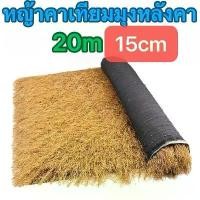 ราคา หญ้าคาเทียมมุงหลังคา (1 ม้วนใหญ่20ตรม) 15cm แฝกเทียม มุงหลังคา แฝกเทียม ขนแฝกสูง แฝกมุงหลังคา หญ้าแฝก หลังคาหญ้าเทียม ฟางเทียม แฝกเนื้อเหนียว กัน UV หลังคากันแดด (1731645843439322788)
