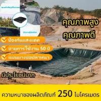 ราคา ผ้ายางปูบ่อปลา 【250 ไมครอน】พลาสติกปูบ่อ ผ้ายางปูบ่อปลา HDPE เสริม UV หนา 0.25mm ทนทาน50ปี ออกแบบและทดสอบโดยวิศวกร ผ้ายางปูบ่อปลาคลองไส้ไก่ 6*20เมตร (1731911529228437414)
