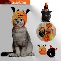 ราคา Halloween pumpkin hat, bat hat, Halloween hat, Halloween costumes for dogs and cats, Halloween cosplay, dog shirts, cat shirts, dog hats, cat hats การเพาะเลี้ยงสัตว์น้ำ (1732572973288097501)
