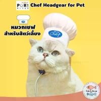 ราคา [Fish & Bone] Purlab เชฟ หมวกแมว หมวกหมา (1732617010740037152)