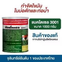 ราคา 【COD】 Bactocel 3001 1,000 grams, microorganisms that digest sink fat. Eliminates bad odors, grease traps, grease traps (1732403593500002155)