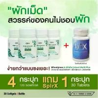 ราคา ผักเม็ดจีบีโอ GBO Wheatgrass & Alfalfa Extract Multi Plus+ Q10 30 ซอฟเจลล์ 4 กระปุก แถม สไปร์เอ็กซ์โปรตีนพืชเช้มข้น 1 กระปุก (1732495249640686786)