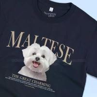 ราคา เสื้อยืดสกรีนลายน้องหมา Maltese มอลทีส [Classic Cotton 100% by Oversized Club] (1732609506686502449)