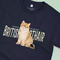 ราคา เสื้อยืดสกรีนลายแมว British Shorthair บริติช ช็อตแฮร์ (Golden) [Classic Cotton 100% by Oversized Club] (1732609703301383407)