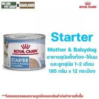 ราคา Royal Canin Starter Mousse 12 กป/แพ็ค สวัสดิการสด (1732535756527273943)