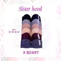 ราคา Sister hood 2497 บรามีโครง ฟองน้ำบาง 3 ตะขอ คัพB-C (1731139918298647080)