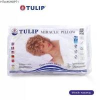 ราคา Tulip-หมอนหนุนสูญญากาศ Miracle Pillow (1732572235436885428)