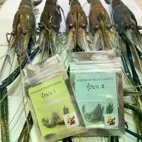 ราคา 【จัดส่งทันที】 เบ็ดตกกุ้ง กุ้งนาง ผึ้งน้อย เบ็ดตกกุ้งแม่น้ำ GIANT ตูดรู-ตูดแบน มีหลากหลายรุ่น EMPEROR PRAWN HOOK (1732193393519265769)