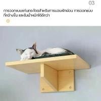 ราคา Cat wall (ขายแยกชิ้น)โครงไม้ติดผนัง DIY ไม้สนธรรมชาติสำหรับแมว เฟอร์ตกแต่งบ้าน (บันได2-3ระดับ, แท่นพัก) ซีโอดี (1731953384690648660)
