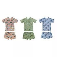 ราคา ชุดว่ายน้ำทูพีซ สำหรับเด็กผู้ชายและทารก สไตล์อิน สไตล์เกาหลี ชุดกางเกงว่ายน้ำขาสั้น กันแดด แห้งไว ชุดว่ายน้ำ (1732201536467667732)