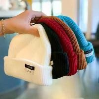 ราคา หมวกบีนนี่ สีดำ อเนกประสงค์ สำหรับผู้ชายและผู้หญิง หมวกไหมพรมญี่ปุ่น หมวกทรงกะโหลกถัก (1731434161615309763)