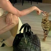 ราคา กระเป๋าโท้ทหนังพื้นเมือง, เทอร์มูน, 2023 มาใหม่, กระเป๋าช้อปปิ้ง, กระเป๋าสะพายไหล่เดียว, กระเป๋าสะพายข้าง, กระเป๋าสตรี (1732446665833416285)