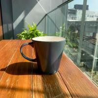 ราคา แก้วกาแฟ IKEA มีหูหิ้ว​​​​ (1732645117698016347)