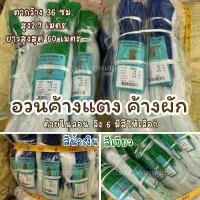 ราคา พร้อมส่ง อวนค้างแตง ค้างผัก ตาข่ายปลูกผัก สำหรับปลูกแตง ค้างแตง ค้างมะระ บวบ ถั่ว ค้างผัก ไม้เลื้อย (1731518532571465603)