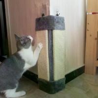 ราคา กระดานขูดแมว ดีไซน์พับได้ ทำจากเชือกป่าน ของเล่นสัตว์เลี้ยง ของเล่นทีเซอร์แมว เหมาะสำหรับมุมกระดานขูดแมว (1732343126724544154)