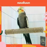 ราคา จัดส่งจากกรุงเทพฯ คอนยืนนก คอนนก แบบพันเชือก คอนไม้นก ที่ยืนนก ของเล่นนก คอนสัตว์เลี้ยง ของเล่นสัตว์เลี้ยง คอนสำหรับนก การเพาะเลี้ยงสัตว์น้ำ (1732338981708269221)