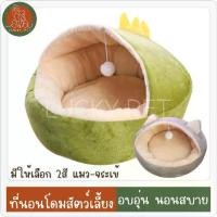 ราคา ที่นอนอุโมงค์ บ้านโดม นอนสบายนุ่มนิ่ม บ้านแมว ที่นอนสัตว์เลี้ยง ที่นอนแมว สุนัข หมา (1731870664878622310)