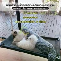 ราคา เปลแมว เปลญวนแมว ที่นอนแมว ที่นอนแมวติดกระจก ที่นอนสัตว์เลี้ยง เปลแมวแบบติดกระจก (1731447802304170267)