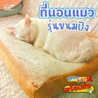 ราคา ที่นอนแมว ที่นอนสัตว์เลี้ยง ที่นอนสุนัข ที่นอนแมวขนมปัง เบาะรองนอนแมว เบาะสัตว์เลี้ยง รูปทรงขนมปังสุดน่ารัก อุปกรณ์สัตว์เลี้ยง (1729647026382670772)